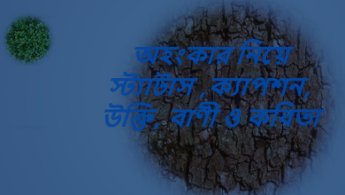 অহংকার নিয়ে স্ট্যাটাস ,ক্যাপশন, উক্তি, বাণী ও কবিতা