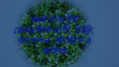 আই লাভ ইউ রোমান্টিক বাণী, উক্তি, ক্যাপশন, স্ট্যাটাস ও কবিতা