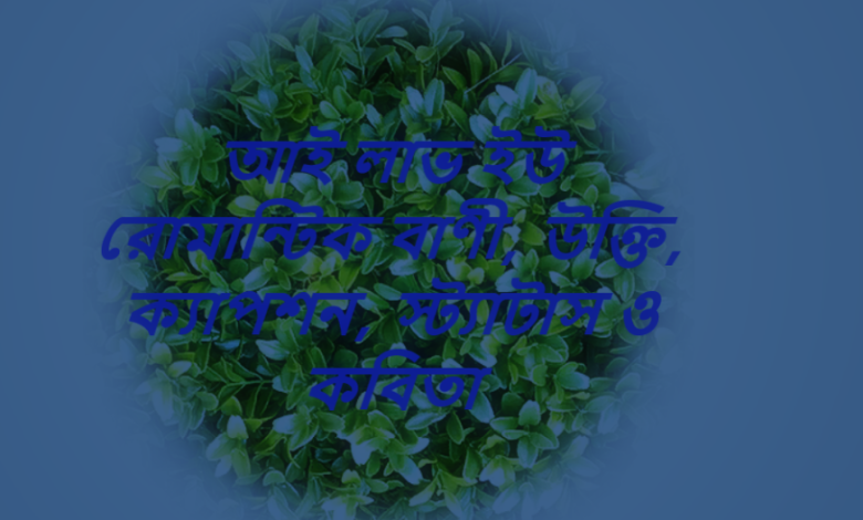 আই লাভ ইউ রোমান্টিক বাণী, উক্তি, ক্যাপশন, স্ট্যাটাস ও কবিতা