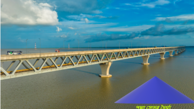 পদ্মা সেতুর খরচ কত