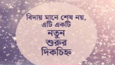 বিদায় নিয়ে ক্যাপশন ,স্ট্যাটাস, ছন্দ ,উক্তি ও কবিতা