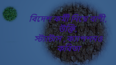 বিদেশ কর্মী নিয়ে বাণী, উক্তি, স্ট্যাটাস ,ক্যাপশনও কবিতা