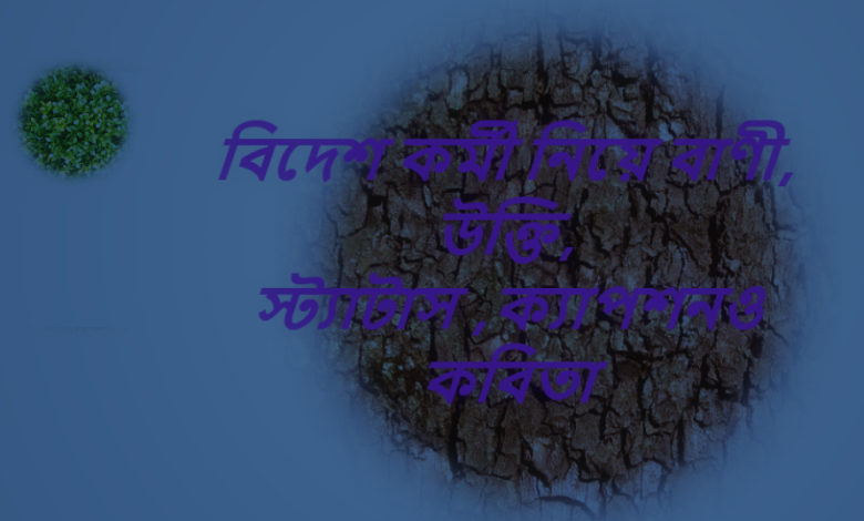 বিদেশ কর্মী নিয়ে বাণী, উক্তি, স্ট্যাটাস ,ক্যাপশনও কবিতা