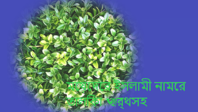 মেয়েদের ইসলামী নামের তালিকা অর্থসহ