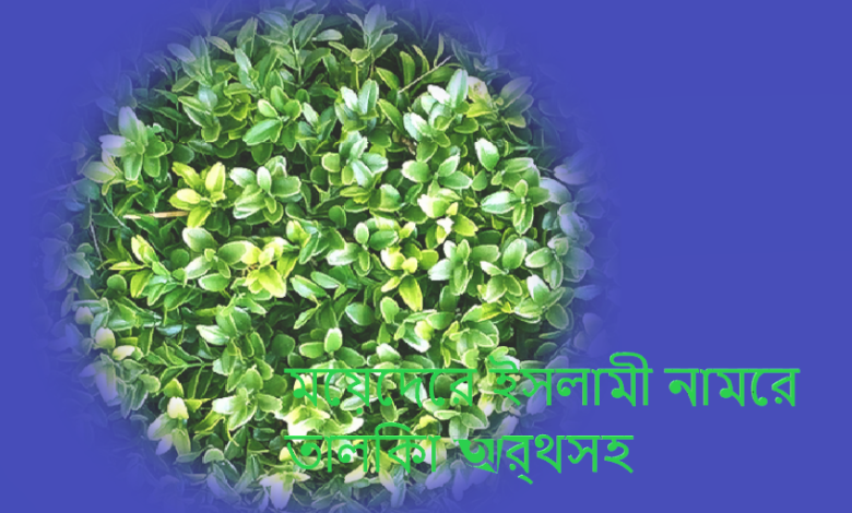 মেয়েদের ইসলামী নামের তালিকা অর্থসহ