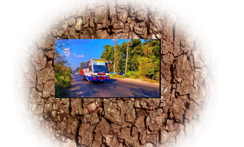 শাহজালাল বাস কাউন্টার সিলেট নাম্বার এবং ঠিকানা