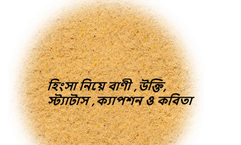 হিংসা নিয়ে বাণী ,উক্তি, স্ট্যাটাস ,ক্যাপশন ও কবিতা